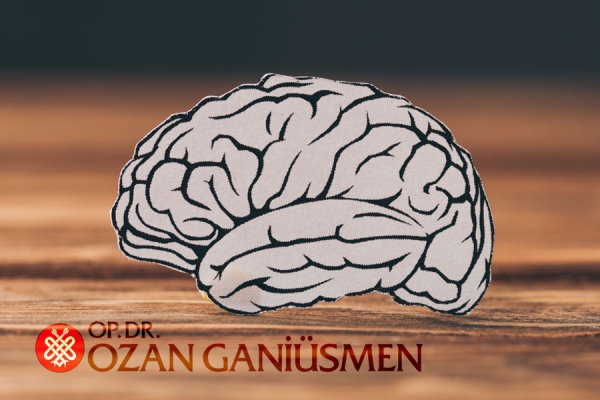 Yaşlandıkça Beyne Ne olur?
